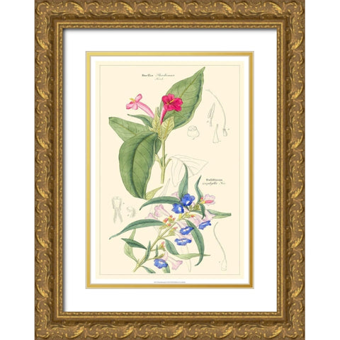 Dietrich Botanical IV Gold Ornate Wood Framed Art Print with Double Matting by Dietrich