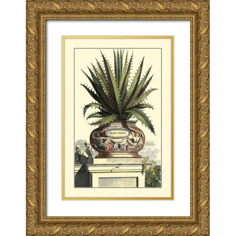 Antique Munting Aloe I Gold Ornate Wood Framed Art Print with Double Matting by Munting, Abraham
