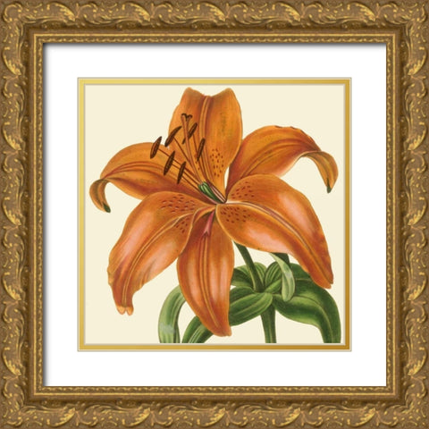 Tropical Vision IV Gold Ornate Wood Framed Art Print with Double Matting by Vision Studio
