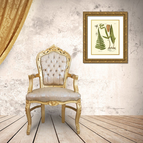 Antique Fern IV Gold Ornate Wood Framed Art Print with Double Matting by Vision Studio