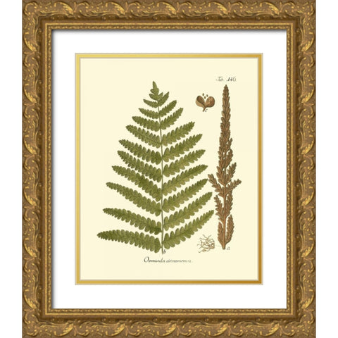 Antique Fern VI Gold Ornate Wood Framed Art Print with Double Matting by Vision Studio