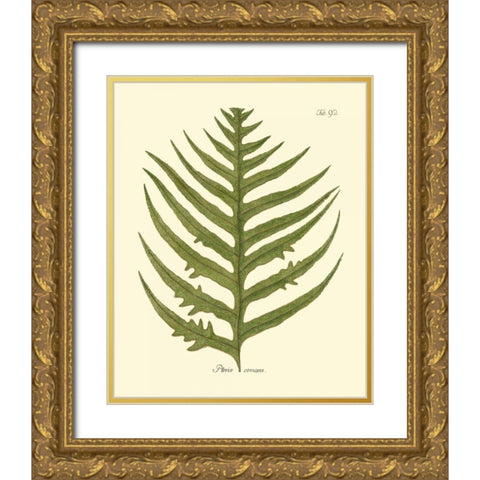 Antique Fern VIII Gold Ornate Wood Framed Art Print with Double Matting by Vision Studio