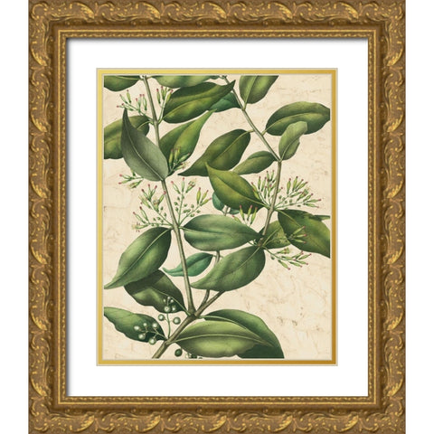 Botanic Beauty III Gold Ornate Wood Framed Art Print with Double Matting by Vision Studio