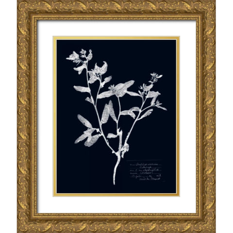 Impressions on Indigo III Gold Ornate Wood Framed Art Print with Double Matting by Vision Studio