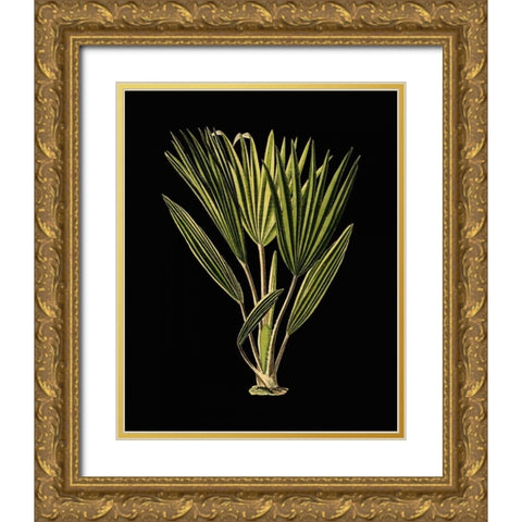 Green Leaves on Black V Gold Ornate Wood Framed Art Print with Double Matting by Vision Studio