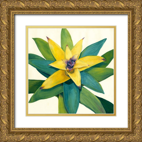 Tropical Bloom I Gold Ornate Wood Framed Art Print with Double Matting by Meagher, Megan