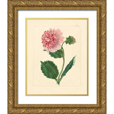 Evas Garden II Gold Ornate Wood Framed Art Print with Double Matting by Vision Studio