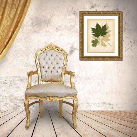 Natures Collage I Gold Ornate Wood Framed Art Print with Double Matting by Vision Studio
