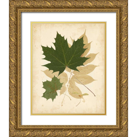 Natures Collage I Gold Ornate Wood Framed Art Print with Double Matting by Vision Studio