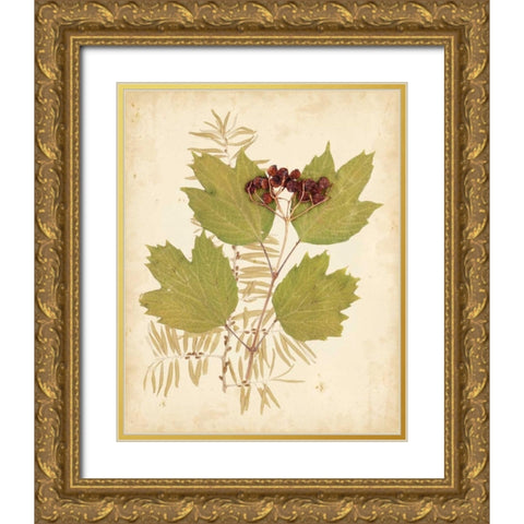Natures Collage IV Gold Ornate Wood Framed Art Print with Double Matting by Vision Studio