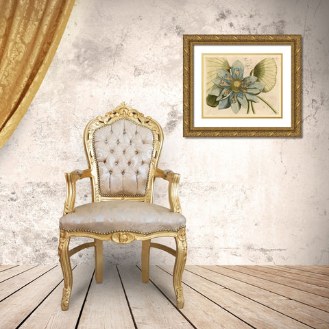 Blue Lotus Flower I Gold Ornate Wood Framed Art Print with Double Matting by Vision Studio