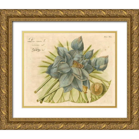 Blue Lotus Flower II Gold Ornate Wood Framed Art Print with Double Matting by Vision Studio
