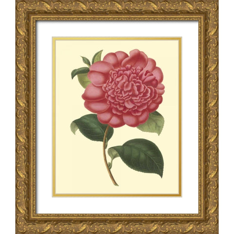 Camellia Garden I Gold Ornate Wood Framed Art Print with Double Matting by Verschaffelt