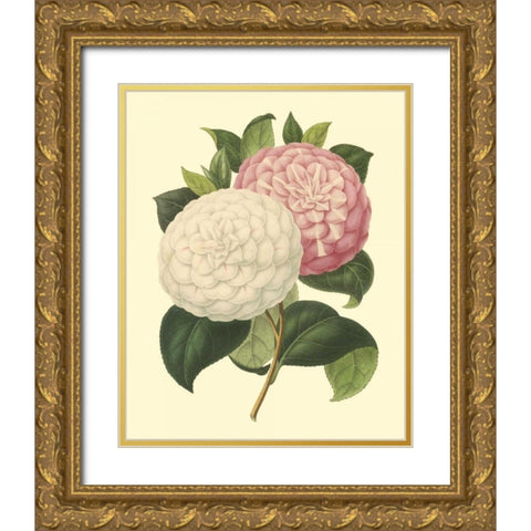 Camellia Garden IV Gold Ornate Wood Framed Art Print with Double Matting by Verschaffelt