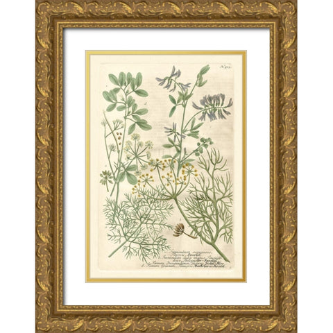 Weinmanns Garden IV Gold Ornate Wood Framed Art Print with Double Matting by Weinmann, Johann