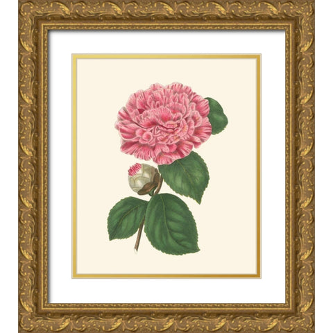 Summer Blush I Gold Ornate Wood Framed Art Print with Double Matting by Smith, E. D.