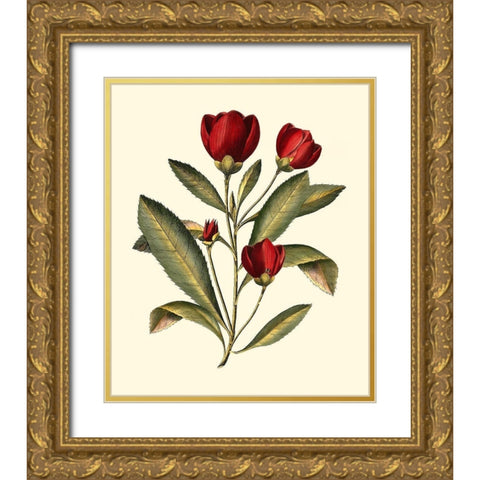 Jennas Flowers IV Gold Ornate Wood Framed Art Print with Double Matting by Sellier