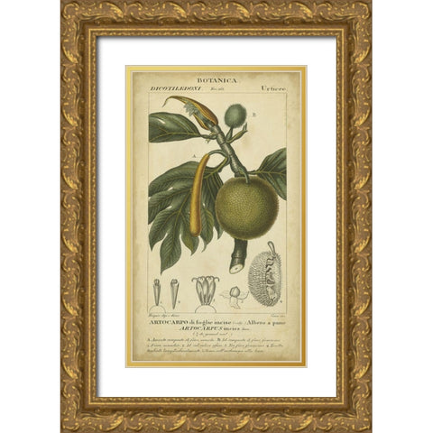 Exotic Botanica IV Gold Ornate Wood Framed Art Print with Double Matting by Turpin