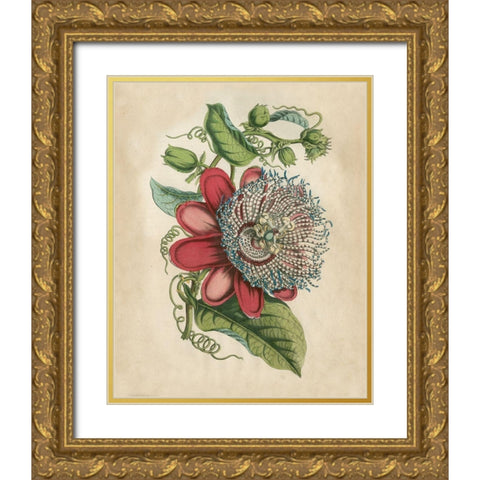 Tropical Beauty I Gold Ornate Wood Framed Art Print with Double Matting by Wiek, John