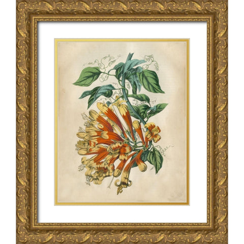 Tropical Beauty II Gold Ornate Wood Framed Art Print with Double Matting by Wiek, John
