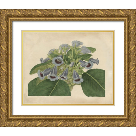 Tropical Beauty IV Gold Ornate Wood Framed Art Print with Double Matting by Edwards, Sydenham
