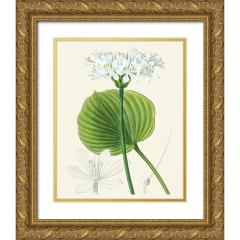 Les Fleurs Blanches II Gold Ornate Wood Framed Art Print with Double Matting by Unknown