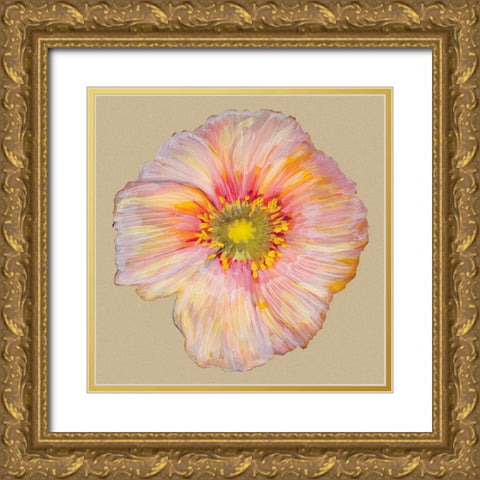 Poppy Blossom I Gold Ornate Wood Framed Art Print with Double Matting by Ludwig, Alicia