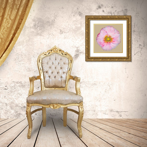 Poppy Blossom III Gold Ornate Wood Framed Art Print with Double Matting by Ludwig, Alicia