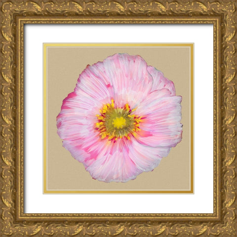 Poppy Blossom III Gold Ornate Wood Framed Art Print with Double Matting by Ludwig, Alicia