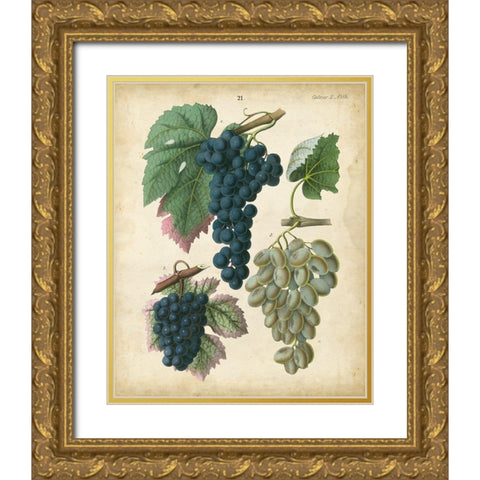Calwer Grapes I Gold Ornate Wood Framed Art Print with Double Matting by Calwer