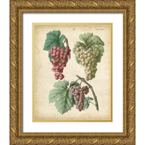 Calwer Grapes II Gold Ornate Wood Framed Art Print with Double Matting by Calwer
