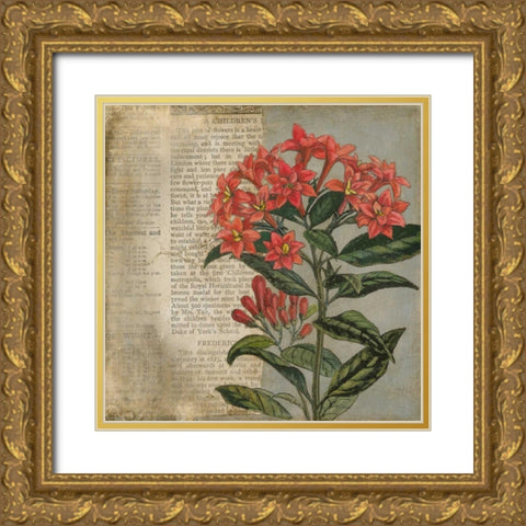 Vintage Fleur Rouge II Gold Ornate Wood Framed Art Print with Double Matting by Meagher, Megan