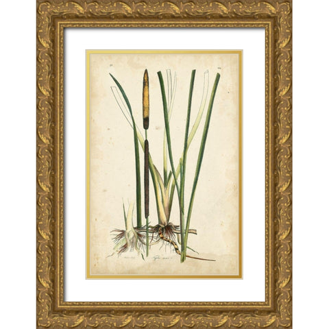 Antique Cattail II Gold Ornate Wood Framed Art Print with Double Matting by Curtis