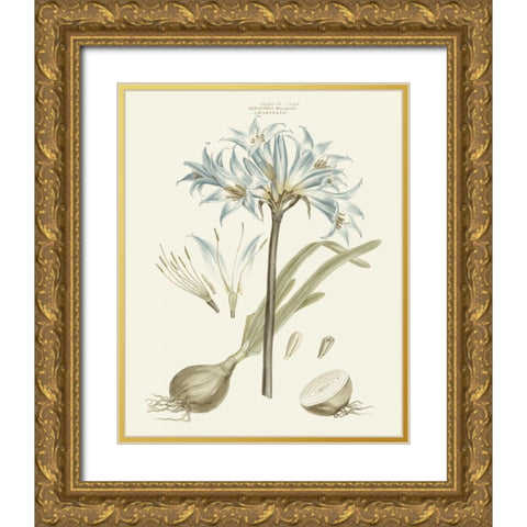 Bashful Blue Florals II Gold Ornate Wood Framed Art Print with Double Matting by Miller, John