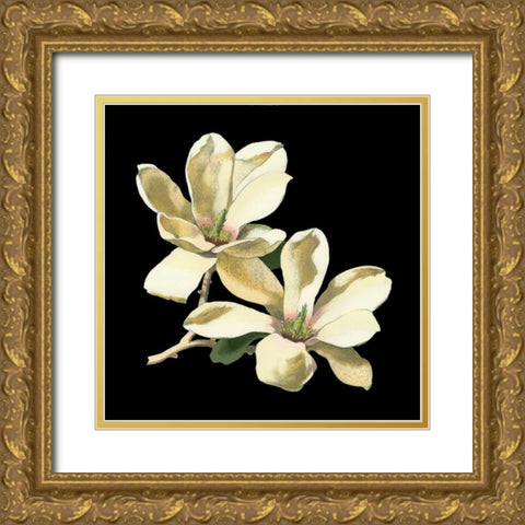 Midnight Magnolias II Gold Ornate Wood Framed Art Print with Double Matting by Chabal Dussurgey