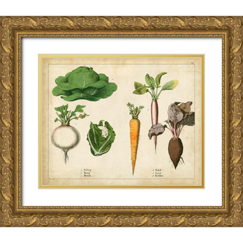 Kitchen Vegetables and Roots I Gold Ornate Wood Framed Art Print with Double Matting by Unknown