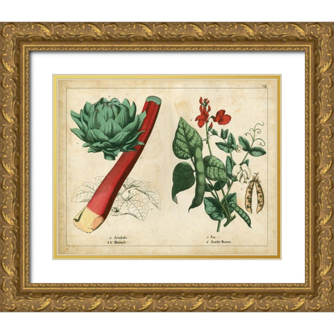 Kitchen Vegetables and Roots II Gold Ornate Wood Framed Art Print with Double Matting by Unknown