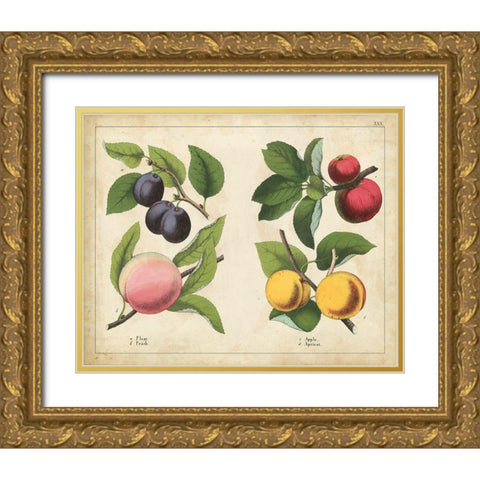 Kitchen Fruits I Gold Ornate Wood Framed Art Print with Double Matting by Unknown