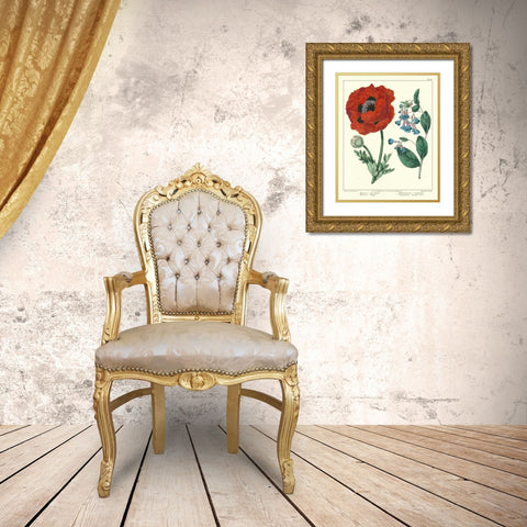 Gardeners Delight I Gold Ornate Wood Framed Art Print with Double Matting by Edwards, Sydenham