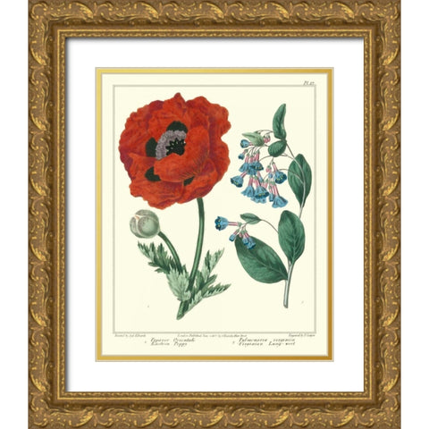 Gardeners Delight I Gold Ornate Wood Framed Art Print with Double Matting by Edwards, Sydenham