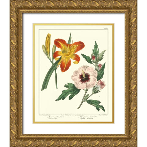 Gardeners Delight IV Gold Ornate Wood Framed Art Print with Double Matting by Edwards, Sydenham