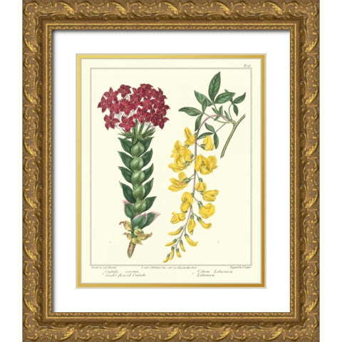 Gardeners Delight V Gold Ornate Wood Framed Art Print with Double Matting by Edwards, Sydenham