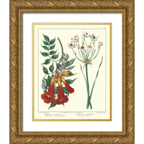 Gardeners Delight VI Gold Ornate Wood Framed Art Print with Double Matting by Edwards, Sydenham