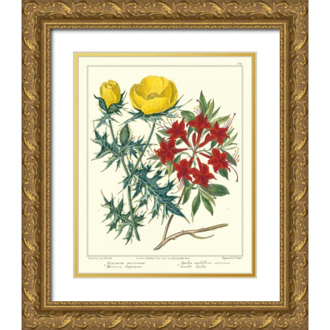 Gardeners Delight VII Gold Ornate Wood Framed Art Print with Double Matting by Edwards, Sydenham