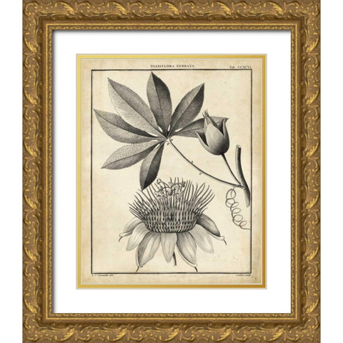 Passiflora II Gold Ornate Wood Framed Art Print with Double Matting by Sellier