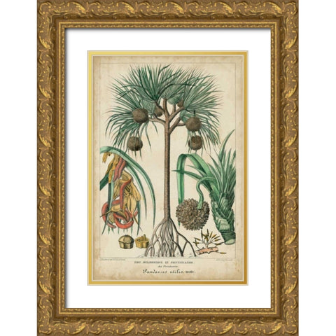 Palma Exotica I Gold Ornate Wood Framed Art Print with Double Matting by Vision Studio