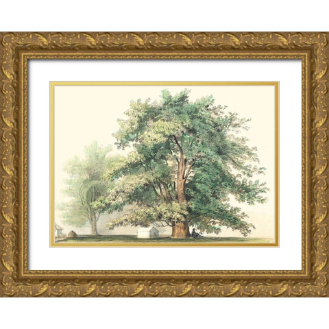 Majestic Oak Gold Ornate Wood Framed Art Print with Double Matting by Unknown