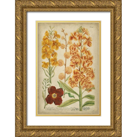 Weinmann Tropical Floral I Gold Ornate Wood Framed Art Print with Double Matting by Weinmann