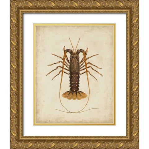 Crustaceans II Gold Ornate Wood Framed Art Print with Double Matting by Sowerby, James