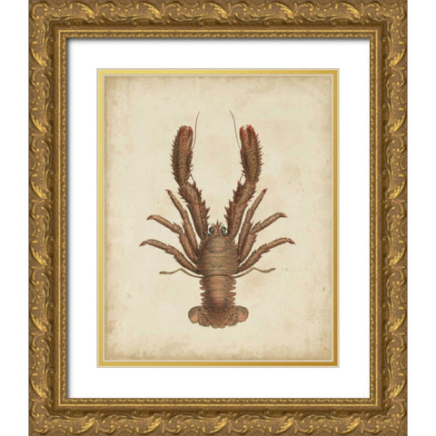 Crustaceans III Gold Ornate Wood Framed Art Print with Double Matting by Sowerby, James